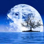 A Moonlit Night Paragraph_ Words For 150, 200 & 350, SSC & HSC