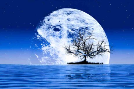 A Moonlit Night Paragraph_ Words For 150, 200 & 350, SSC & HSC