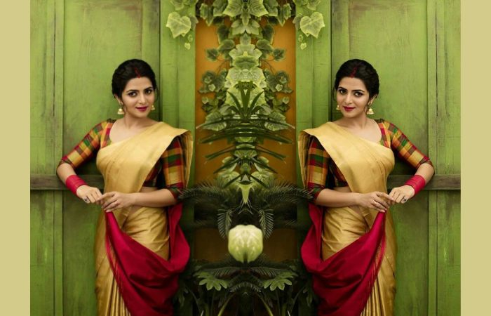 Kerala Saree With Checkered Blouse