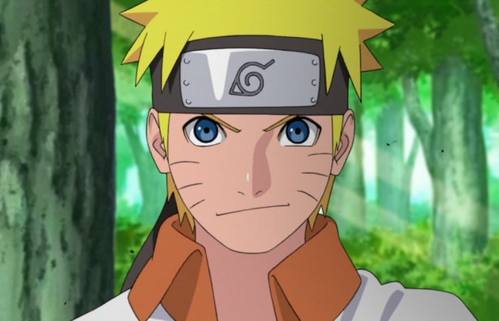 Naruto Shippuden Hindi Release