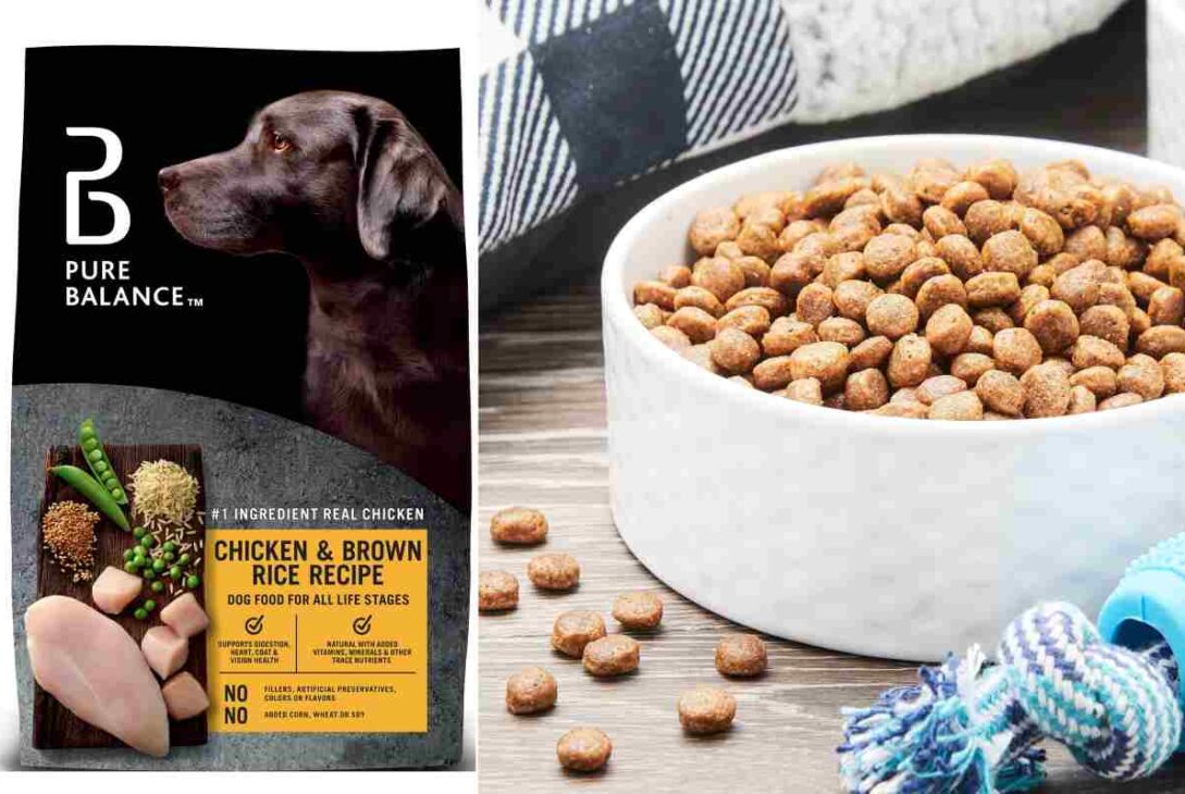 Pure Balance Dog Food - A Premium Nutrition Choice for Your Pet