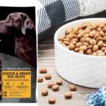 Pure Balance Dog Food - A Premium Nutrition Choice for Your Pet