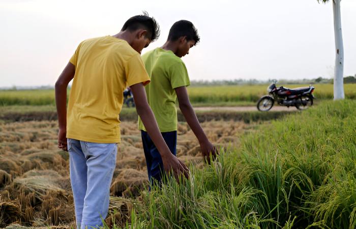 The Natural Beauty of Village Life