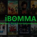 ibomma.net - Pure Entertainment Delight!