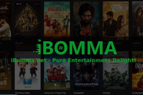 ibomma.net - Pure Entertainment Delight!