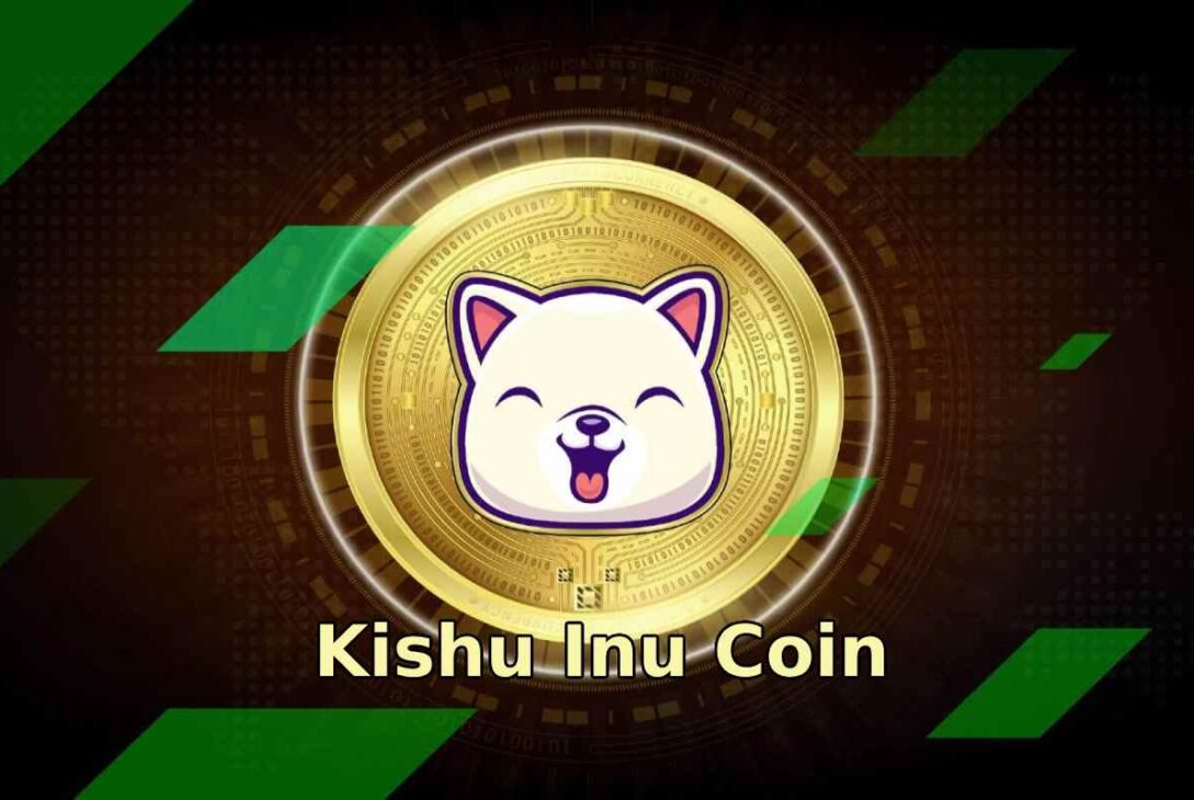 Kishu Inu Coin_ The New Star in the Meme Coin Market