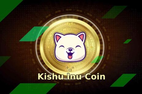 Kishu Inu Coin_ The New Star in the Meme Coin Market