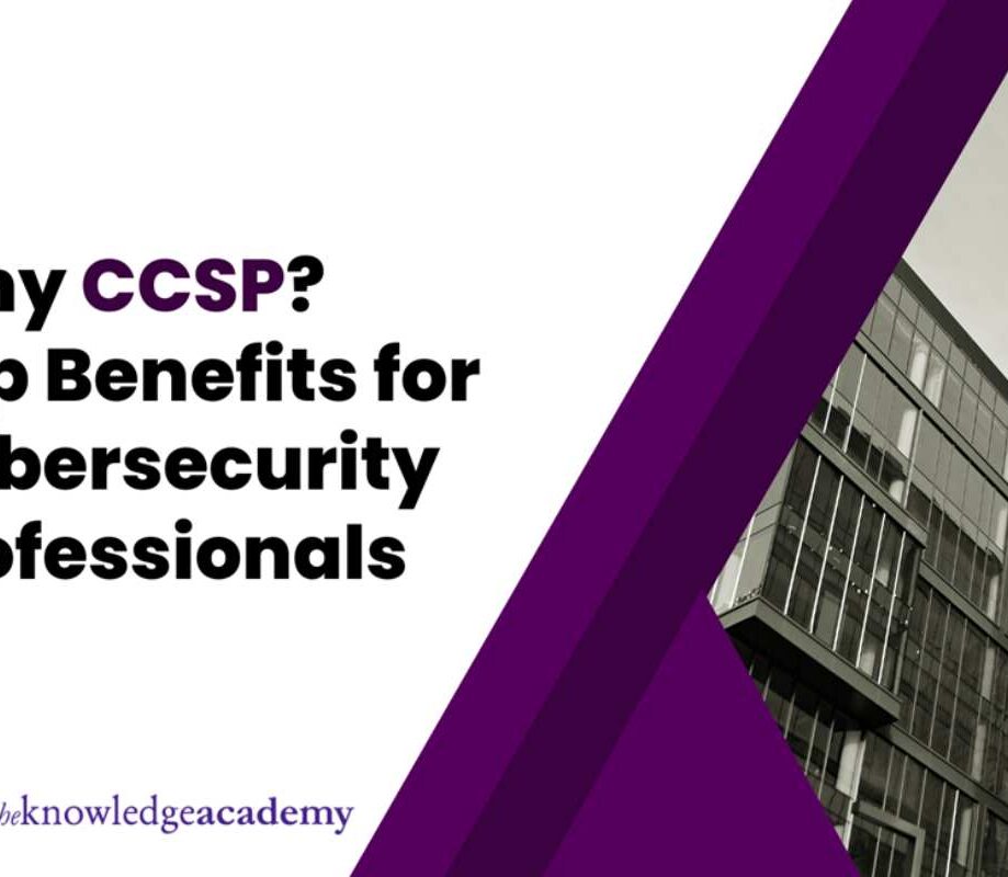 Why CCSP_ Top Benefits for Cybersecurity Professionals